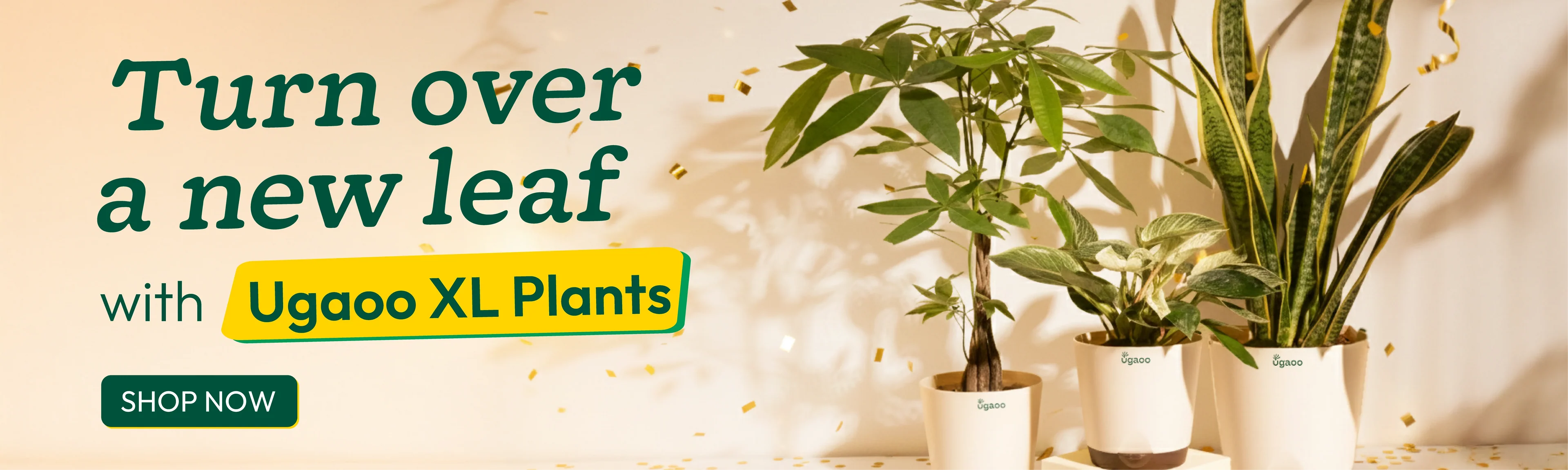 Bring Nature Into Your Home